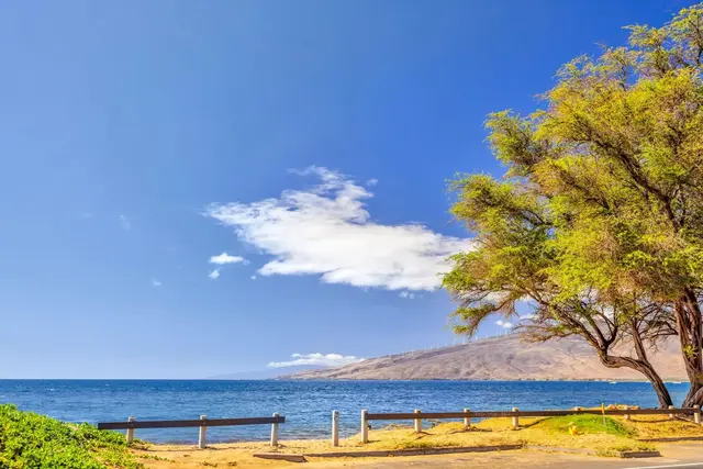 Listing Image for 28 Kai Makani Loop 28-103 5 of 50