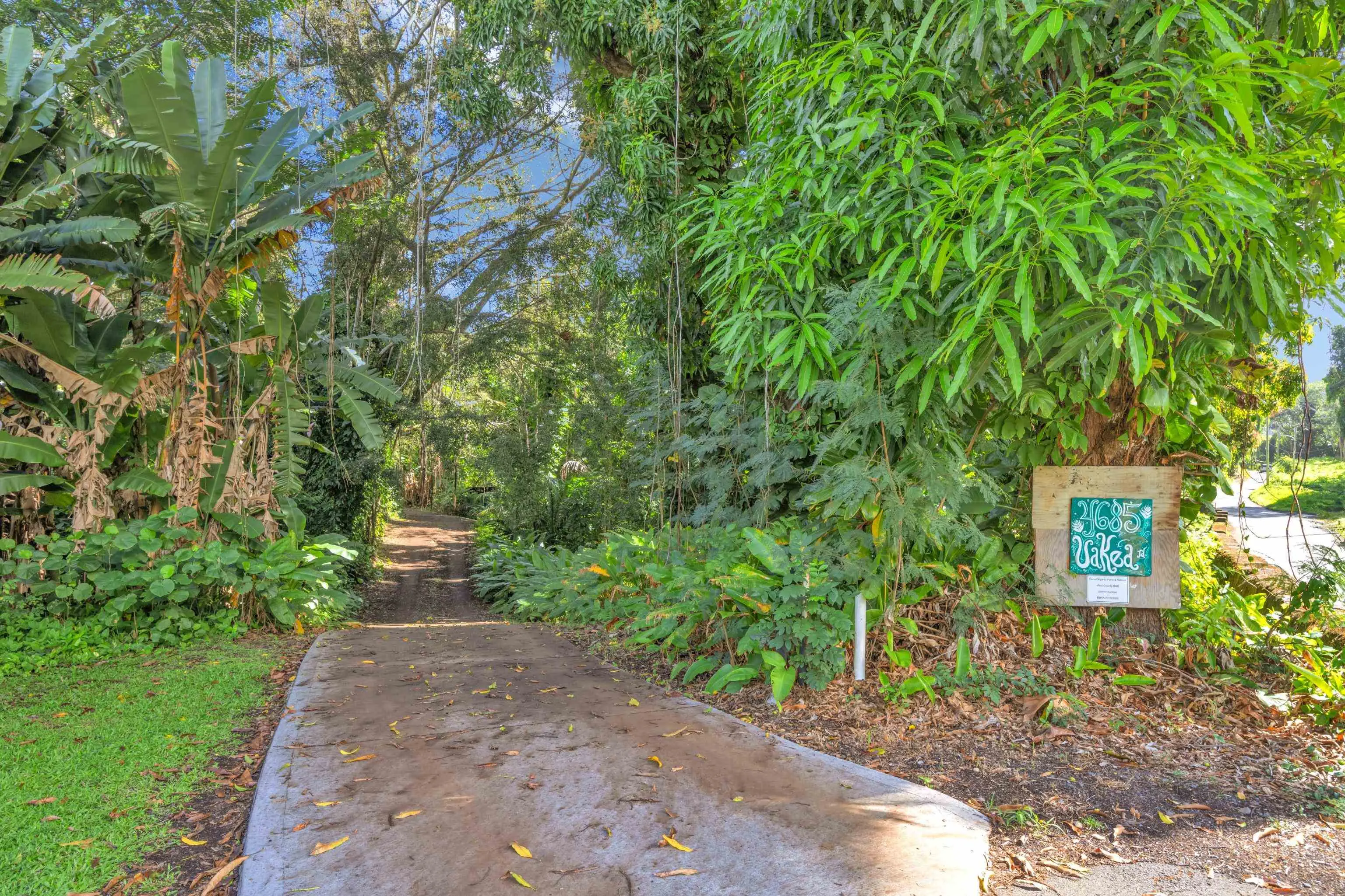 Photo of Listing #404847