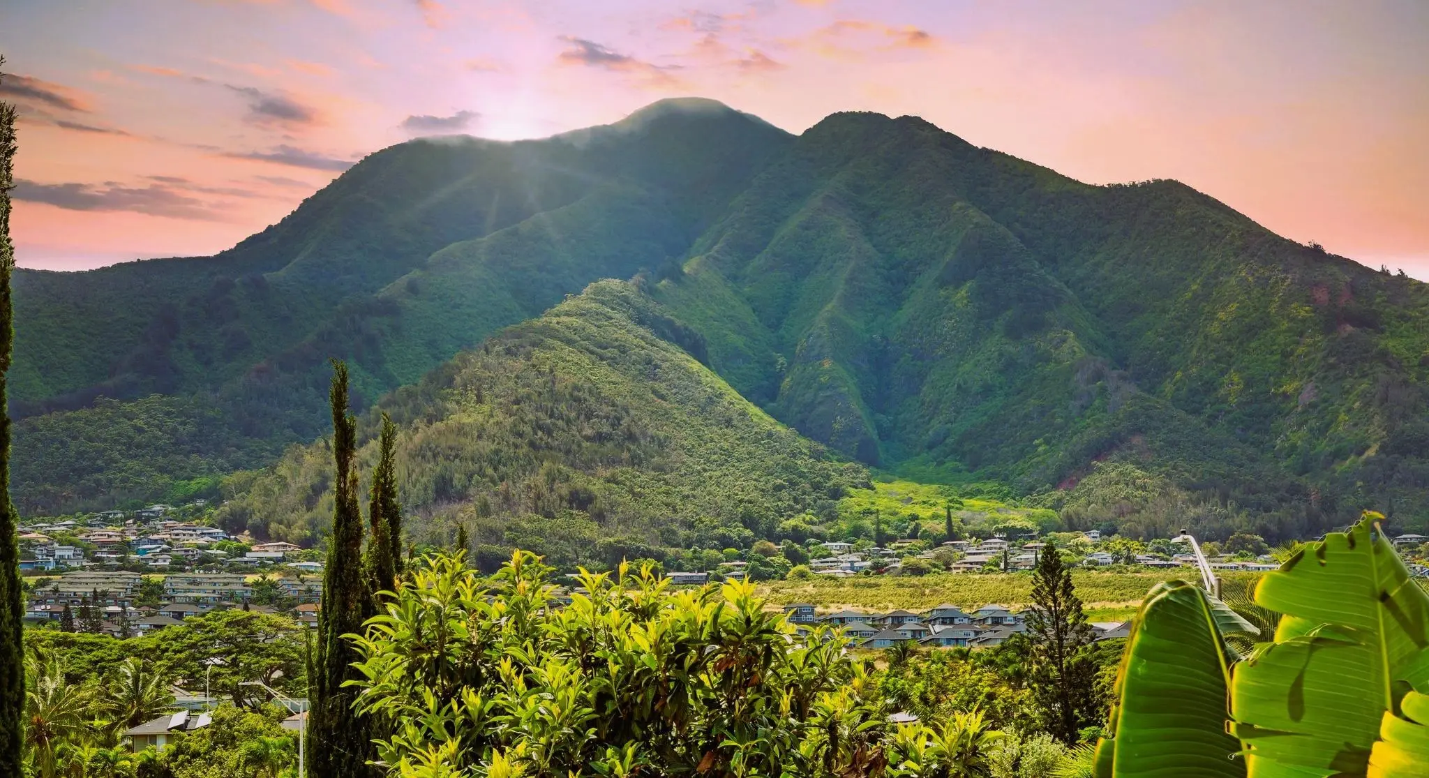 Photo of Listing #407911