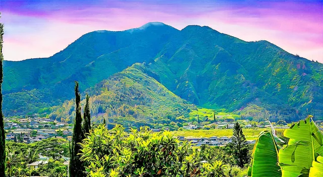 Listing Image for 663 Meakanu Ln 701 37 of 49