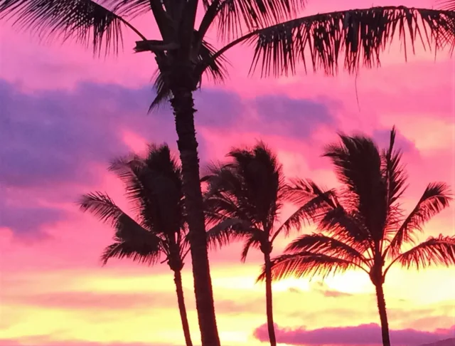 Listing Image for 663 Meakanu Ln 701 49 of 49