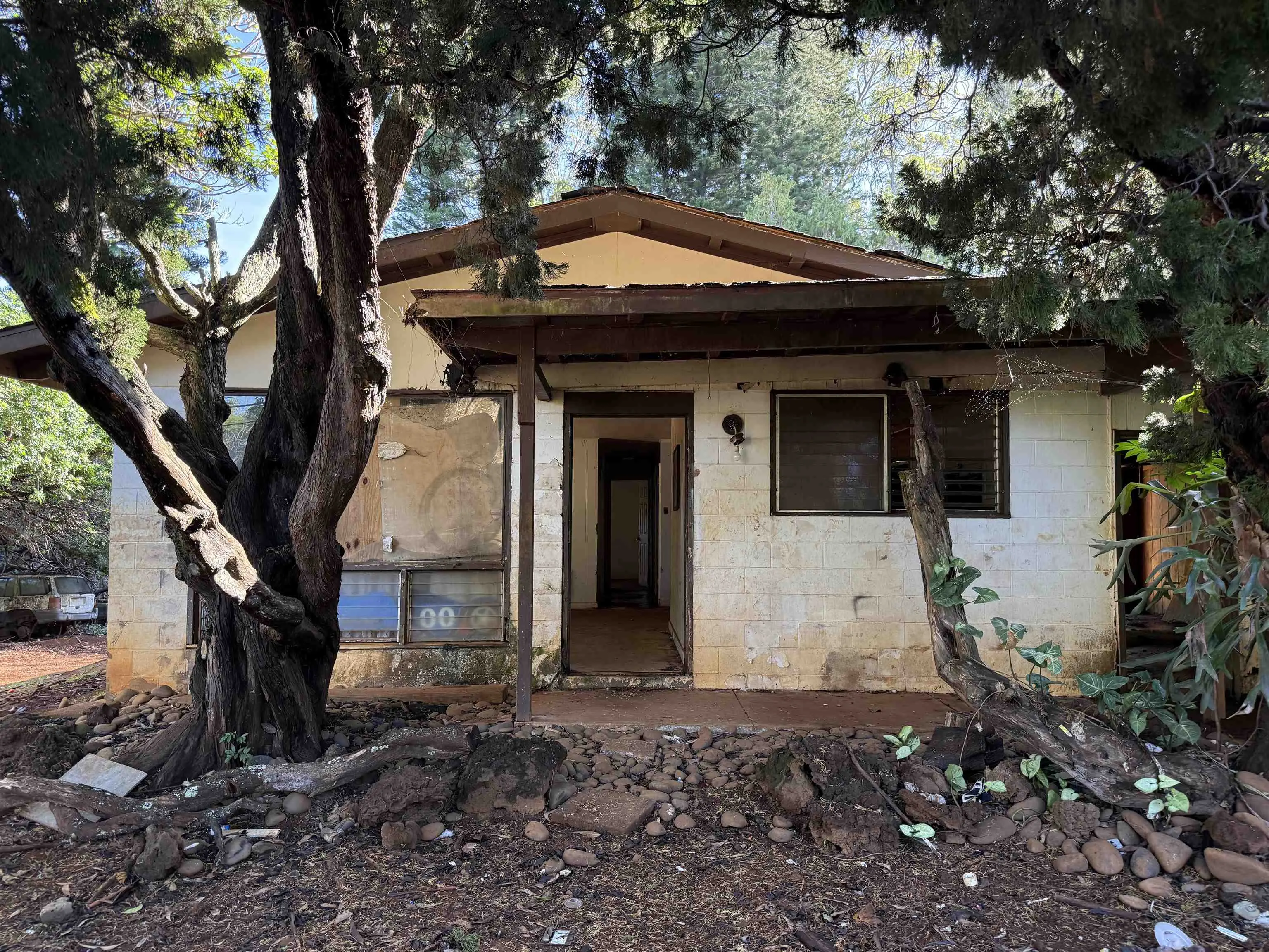 Photo of Listing #408618