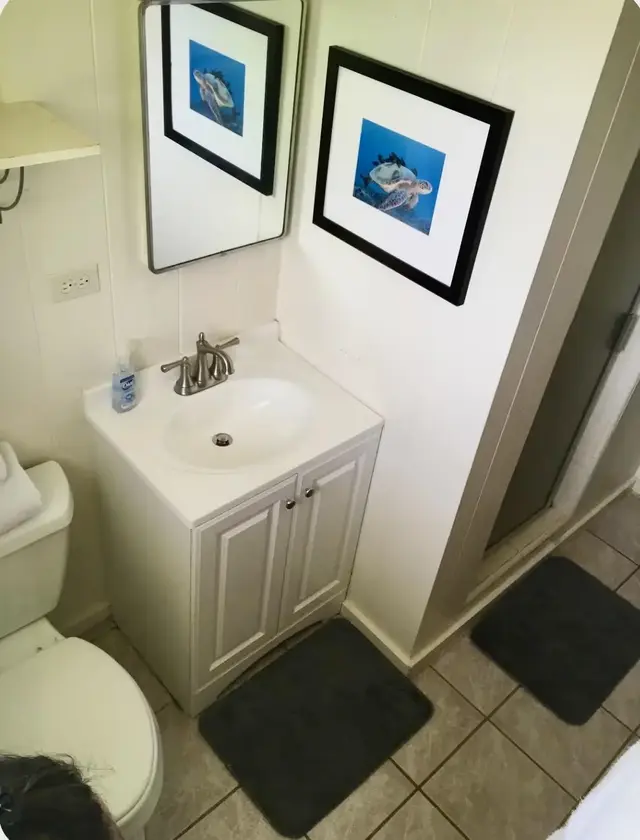 Listing Image for 3666 Lower Honoapiilani Rd B6 6 of 21