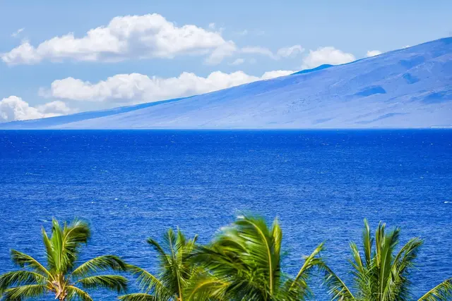 Listing Image for 3445 Lower Honoapiilani Rd 947 2 of 46
