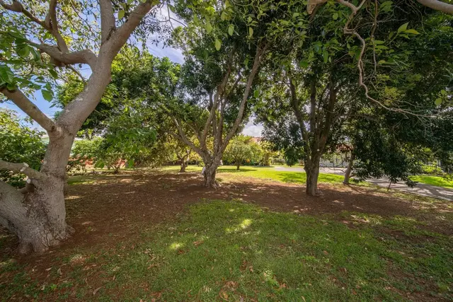 Listing Image for 808 Makawao Ave 48 of 49