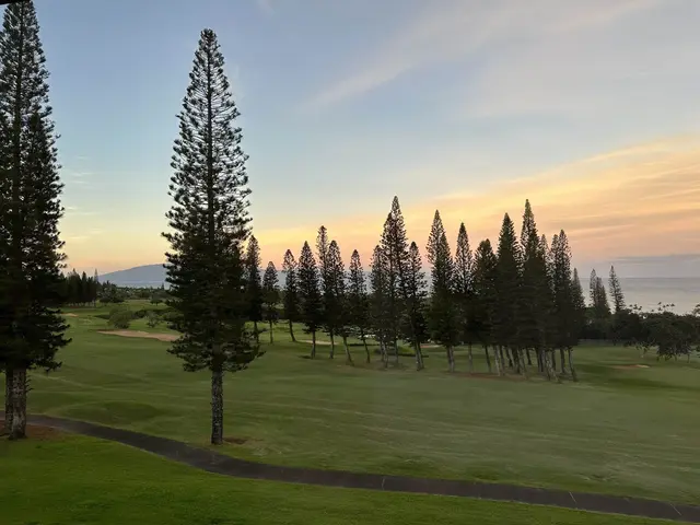Listing Image for 500 Kapalua Dr 27t7 34 of 36