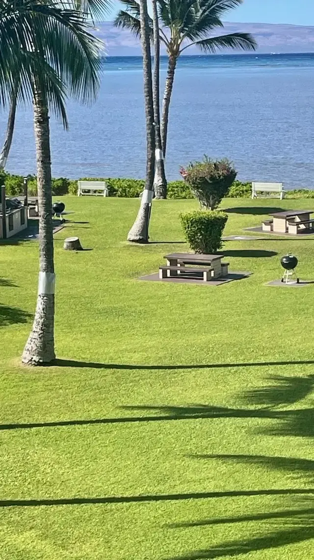 Listing Image for 1000 Kamehameha V Hwy 314a 10 of 34