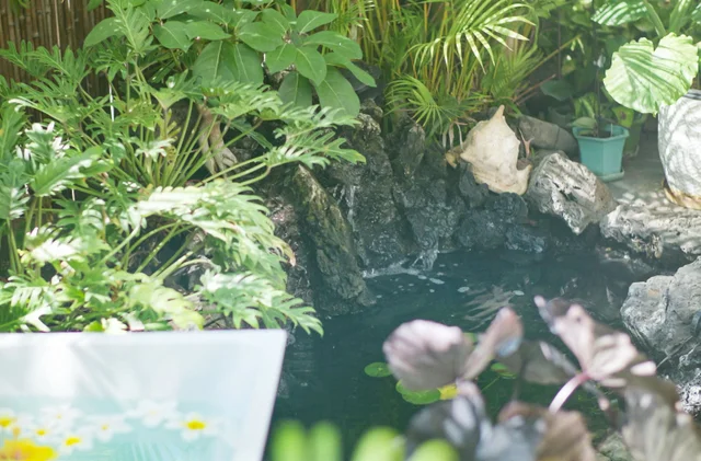 Listing Image for 160 Keonekai Rd 8-101 20 of 29