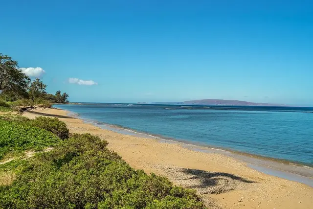 Listing Image for 938 S Kihei Rd 501 37 of 45