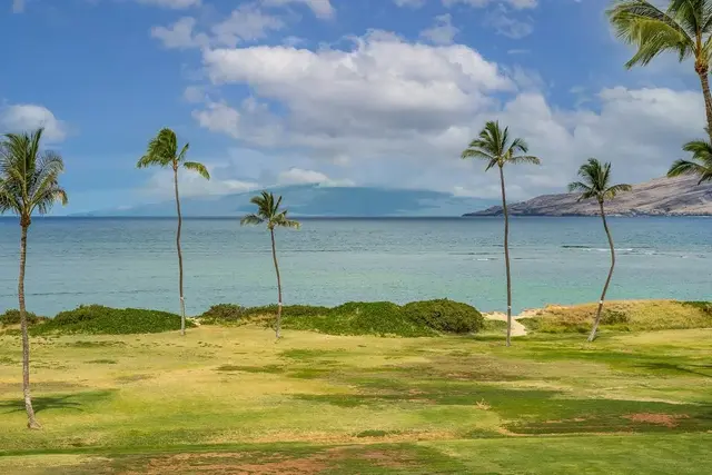 Listing Image for 938 S Kihei Rd 501 38 of 45