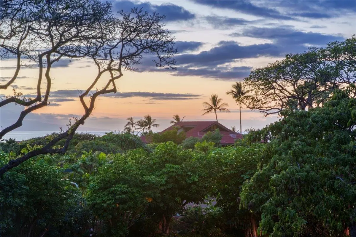 Photo of Listing #409233