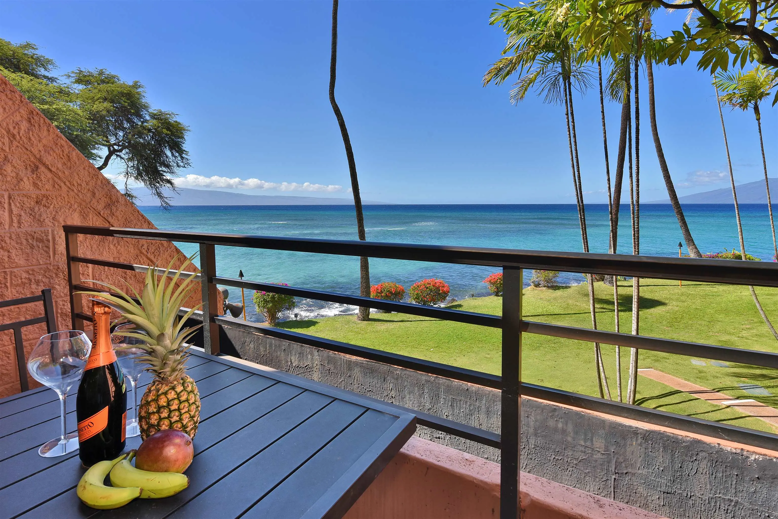 Photo of Listing #409221