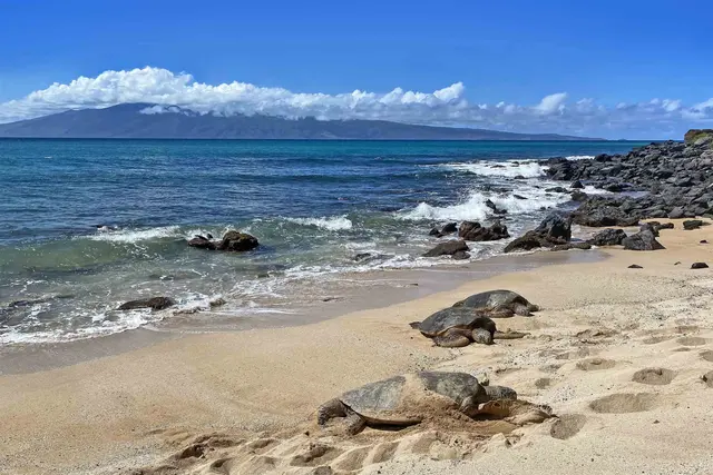 Listing Image for 3959 Lower Honoapiilani Rd 709 20 of 30