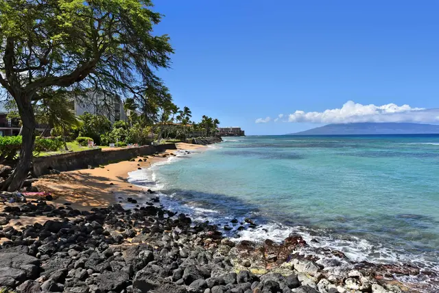 Listing Image for 3959 Lower Honoapiilani Rd 709 21 of 30