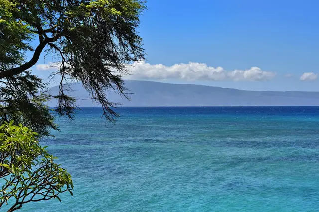 Listing Image for 3959 Lower Honoapiilani Rd 709 4 of 30