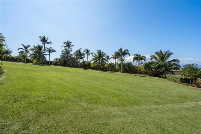 Listing Image for 44 Anapuni Loop 3 43 of 49