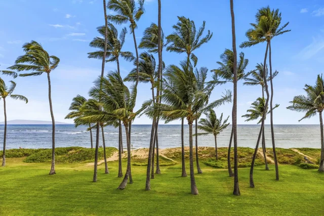 Listing Image for 1310 Uluniu Rd 317 17 of 50