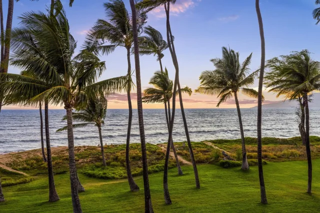 Listing Image for 1310 Uluniu Rd 317 18 of 50