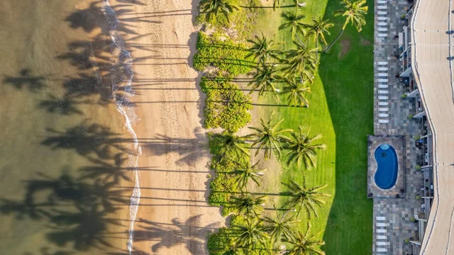 Listing Image for 1310 Uluniu Rd 317 44 of 50