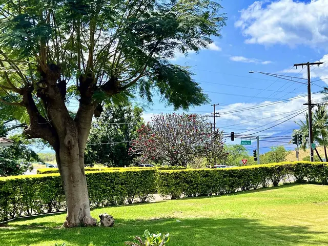 Listing Image for 3038 Mapu Pl 10 of 35
