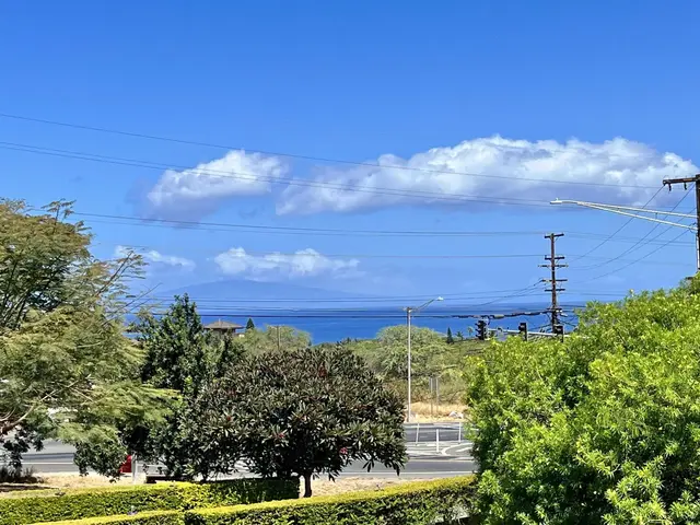 Listing Image for 3038 Mapu Pl 35 of 35