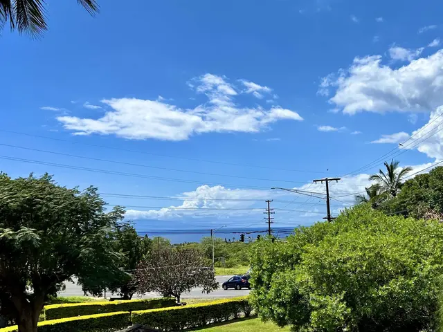 Listing Image for 3038 Mapu Pl 8 of 35