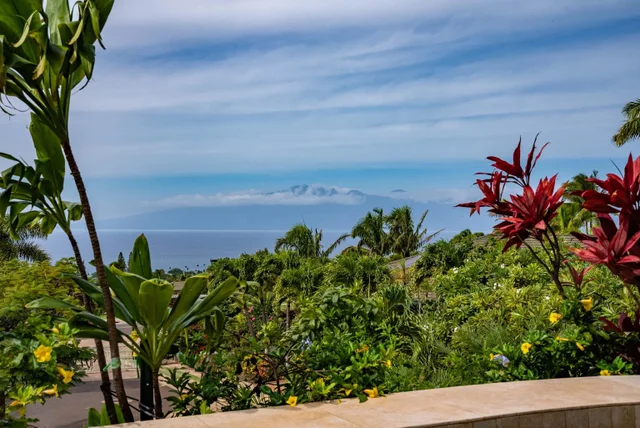 Listing Image for 21 E Mahi Pua Place Pl Lot 3 28 of 34