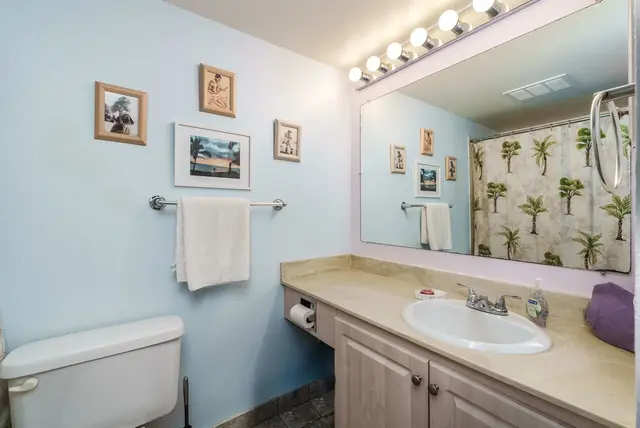 Listing Image for 2695 S Kihei Rd 5-209 25 of 38
