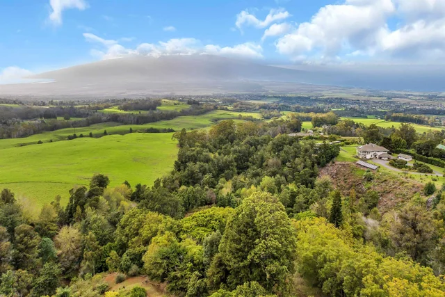 Listing Image for 1854 Olinda Rd 22 of 26