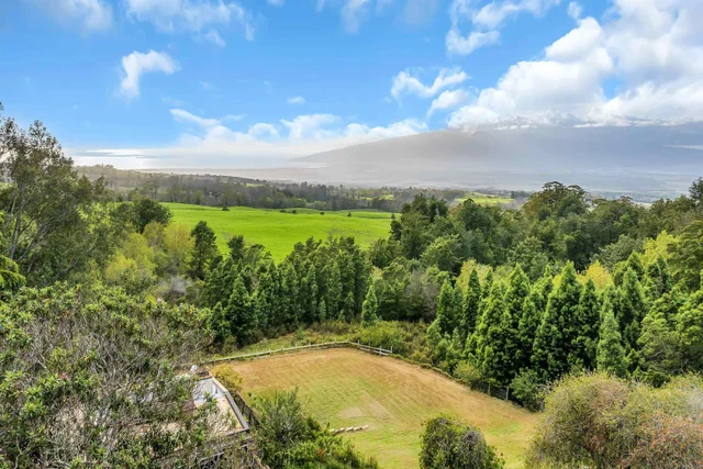 Listing Image for 1854 Olinda Rd 23 of 26