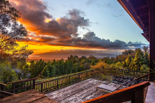 Listing Image for 1854 Olinda Rd 26 of 26