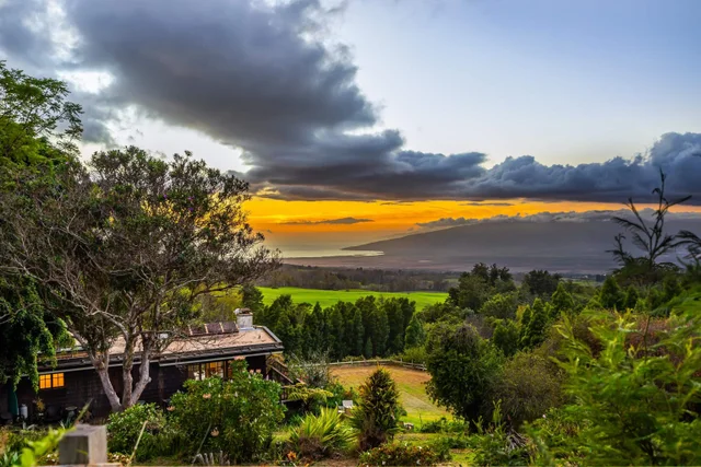 Listing Image for 1854 Olinda Rd 5 of 26