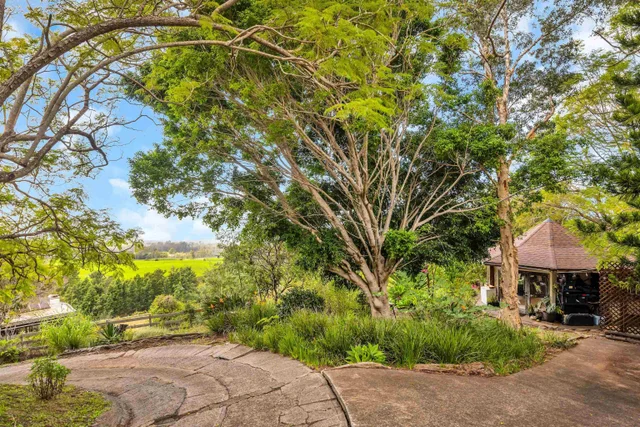 Listing Image for 1854 Olinda Rd 6 of 26