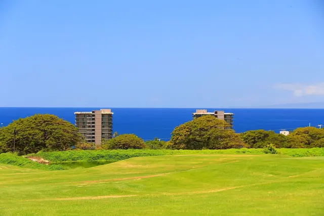 Listing Image for 51 Pihaa St 48 25 of 30
