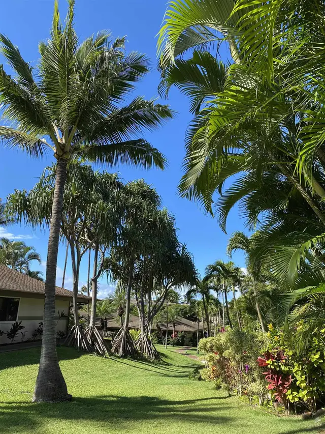 Listing Image for 3788 Lower Honoapiilani Rd A-205 44 of 46