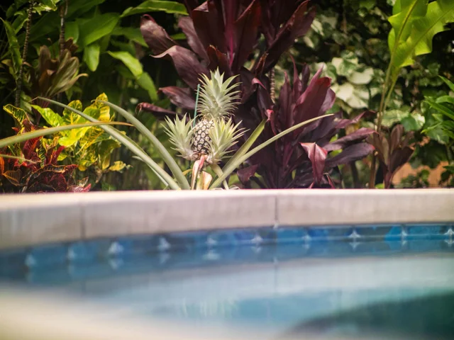 Listing Image for 371 Pualoa Nani Pl Lot 24 17 of 49