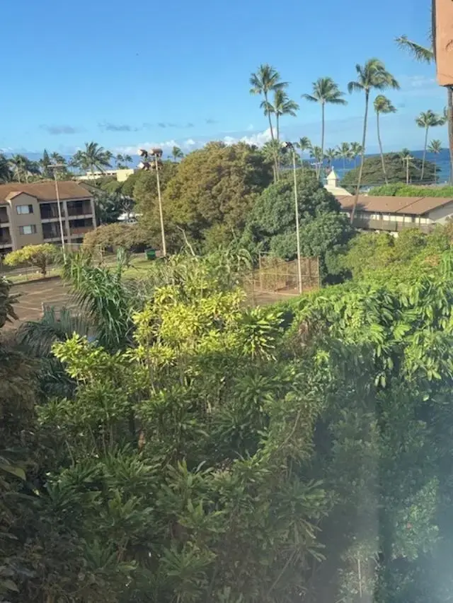 Listing Image for 3676 Lower Honoapiilani Rd G305 15 of 46