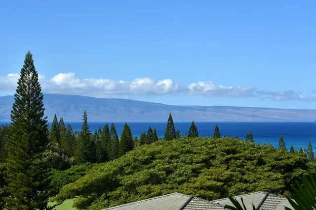 Listing Image for 500 Kapalua Dr 20v1 10 of 47
