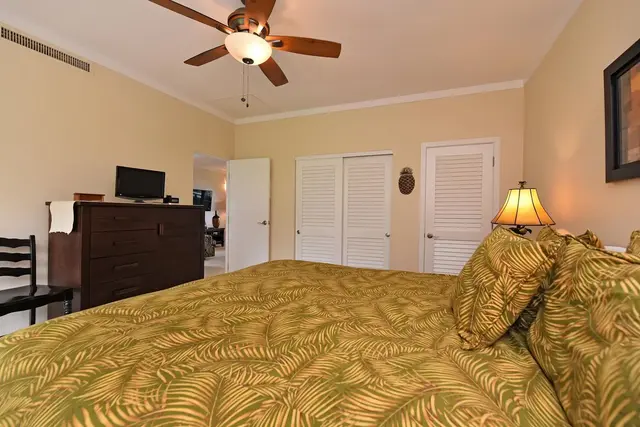 Listing Image for 500 Kapalua Dr 20v1 24 of 47