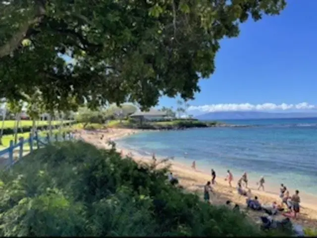 Listing Image for 500 Kapalua Dr 20v1 47 of 47