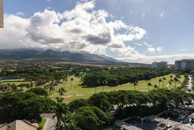 Listing Image for 50 Nohea Kai Dr 2-1106 29 of 50