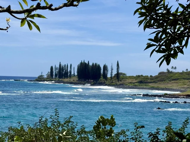 Listing Image for 495 Haneoo Rd 10 of 11