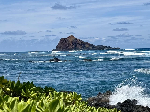 Listing Image for 495 Haneoo Rd 11 of 11