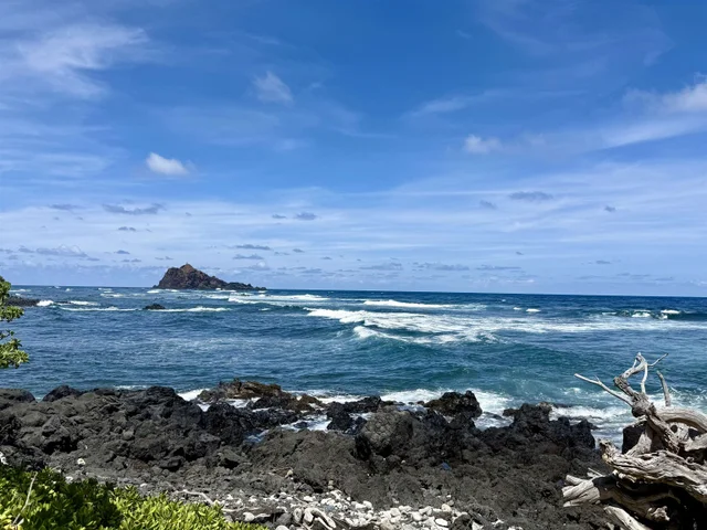 Listing Image for 495 Haneoo Rd 3 of 11