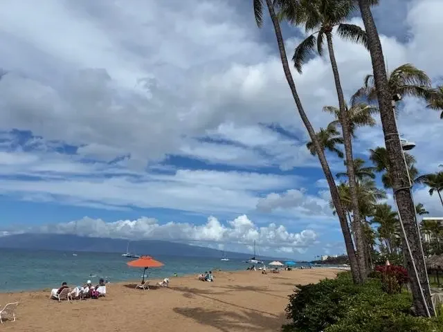 Listing Image for 50 Nohea Kai Dr 4-706 3 of 28