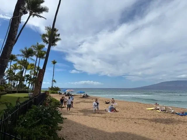 Listing Image for 50 Nohea Kai Dr 4-706 8 of 28