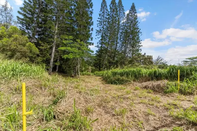 Listing Image for 468 Maukele Pl 148 8 of 24