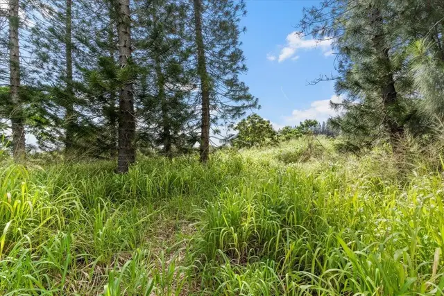 Listing Image for 468 Maukele Pl 148 9 of 24