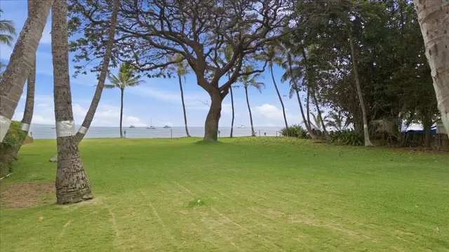 Listing Image for 191 N Kihei Rd 209 45 of 50