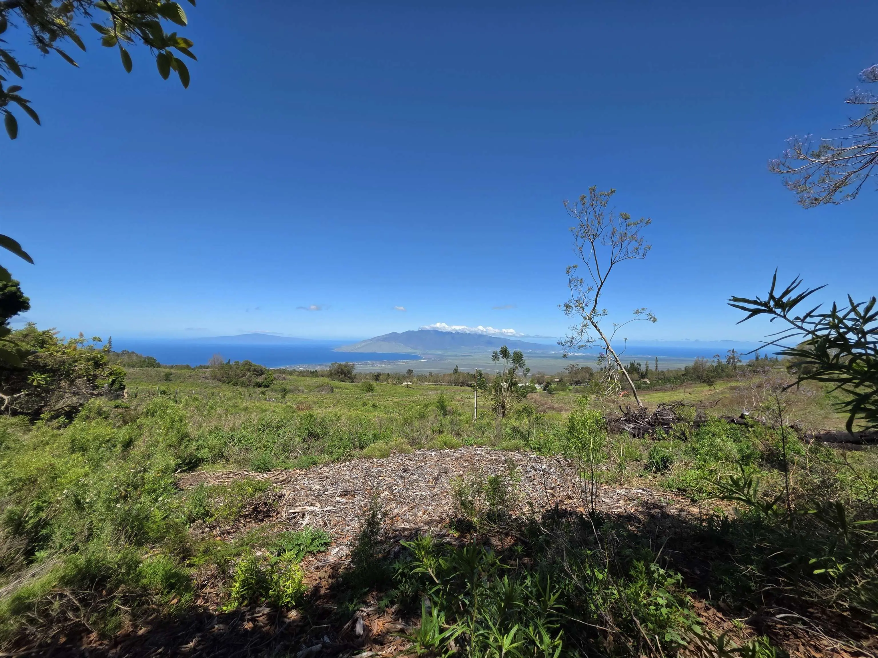 Photo of Listing #408381